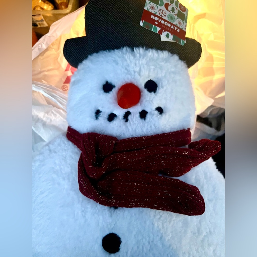 NOVOGRATZ Frosty the Snowman Sherpa Pillow